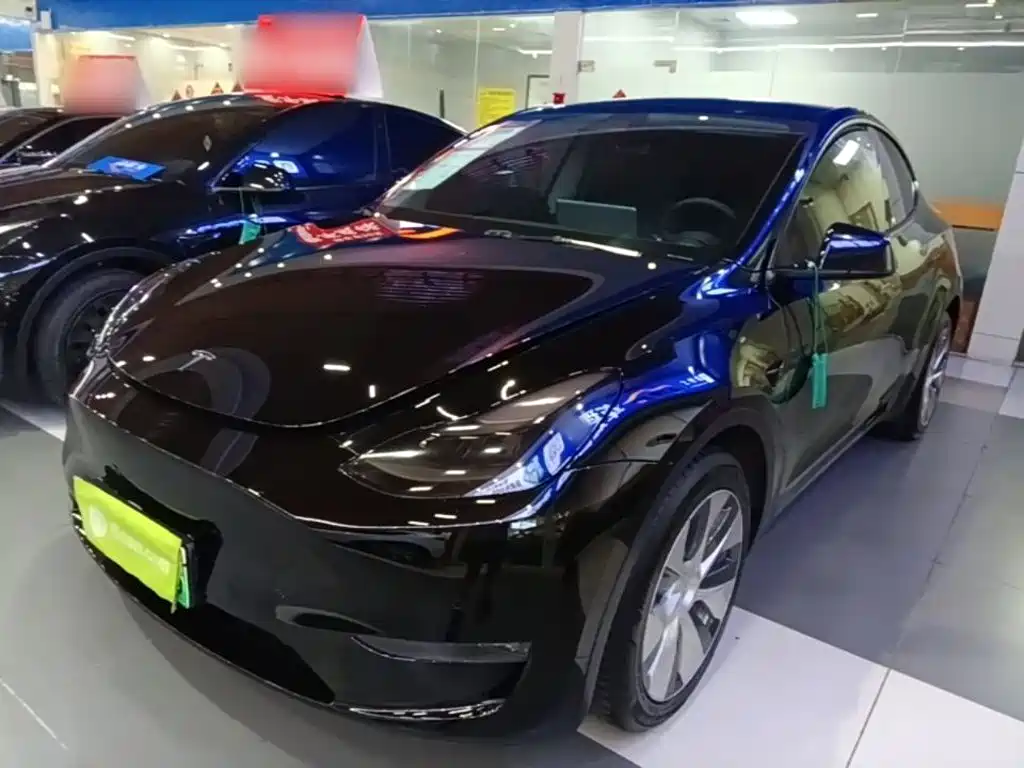 Tesla Model Y — фото 2