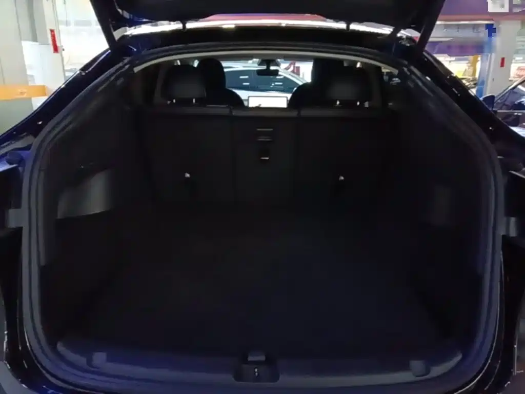 Tesla Model Y — фото 19