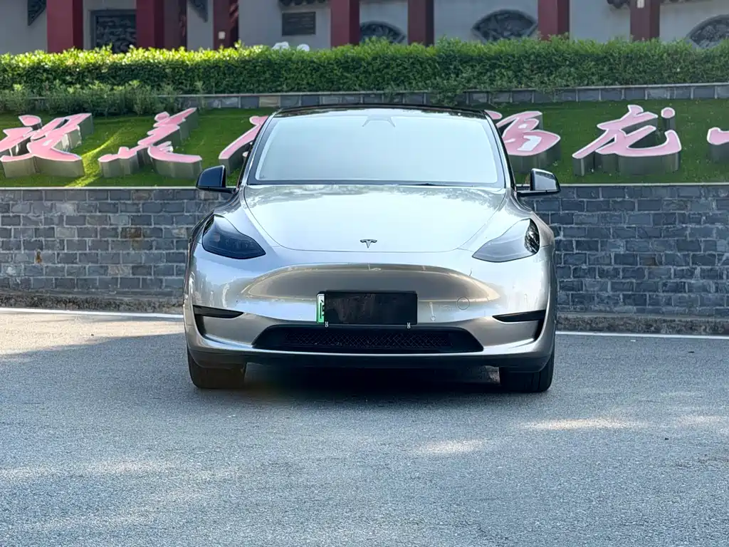 Tesla Model Y — фото 2