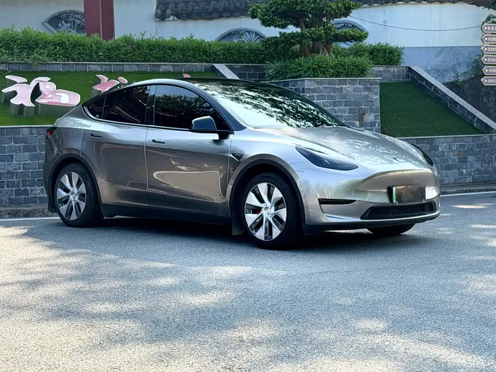 Tesla Model Y — фото 3