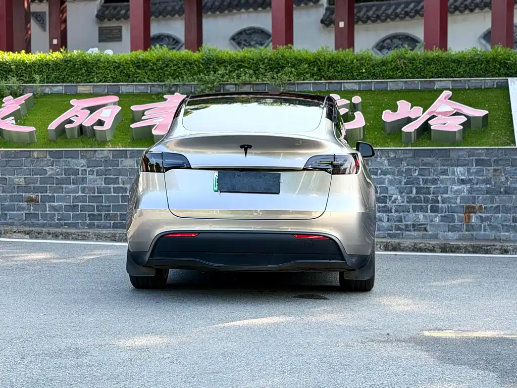 Tesla Model Y — фото 8