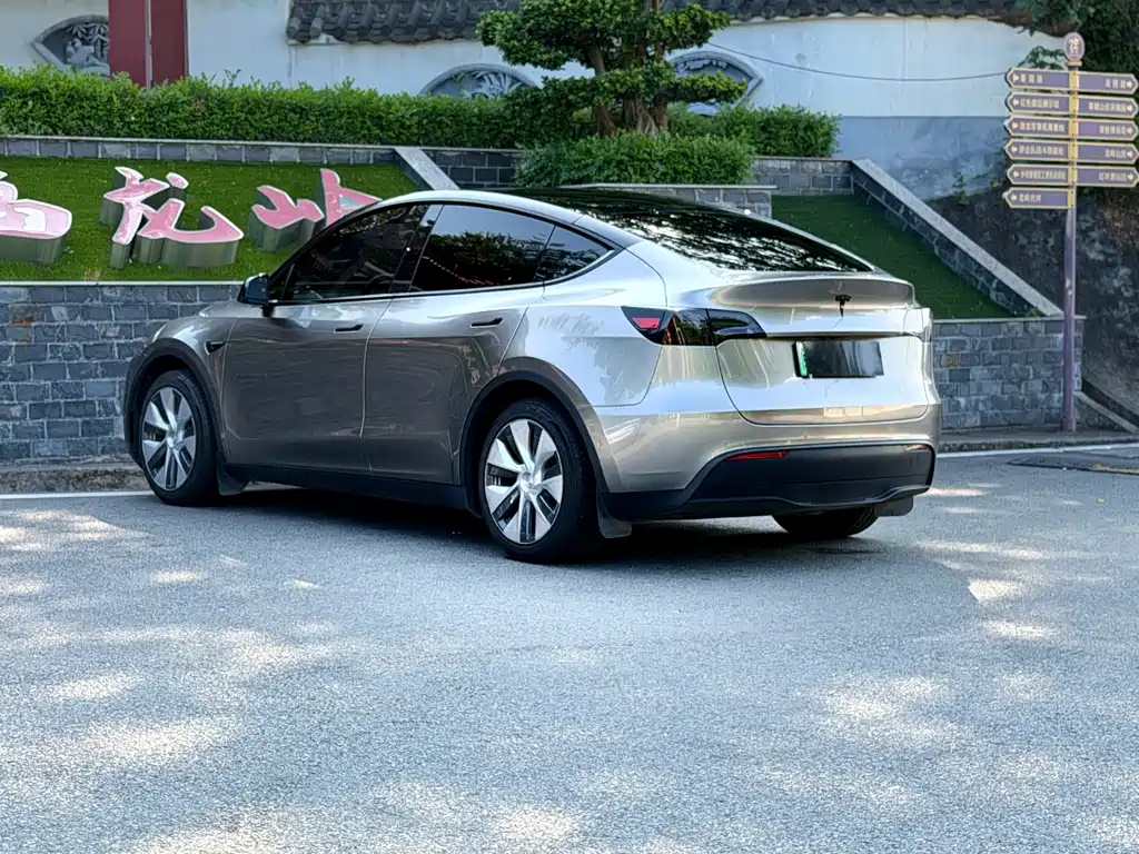 Tesla Model Y — фото 9