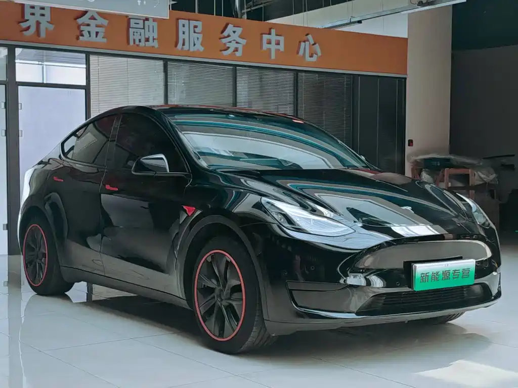Tesla Model Y — фото 2