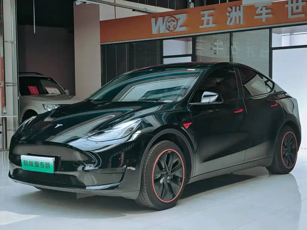 Tesla Model Y — фото 3