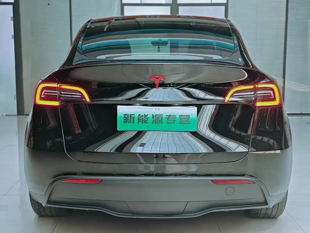 Tesla Model Y — фото 4