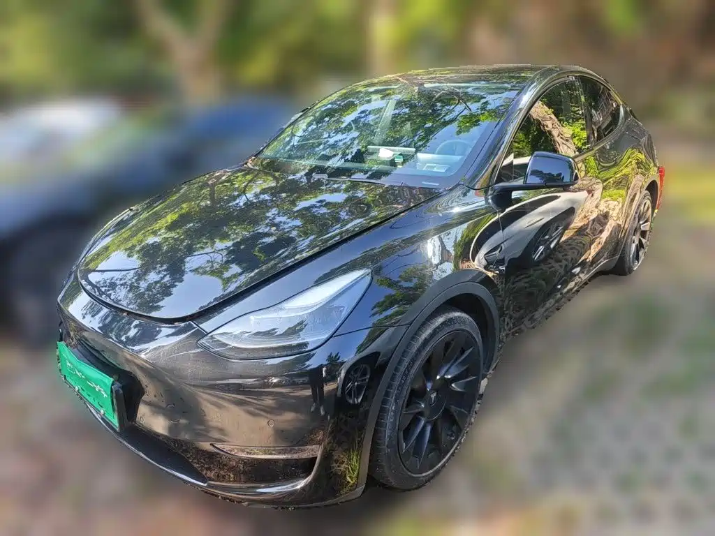 Tesla Model Y — фото 2