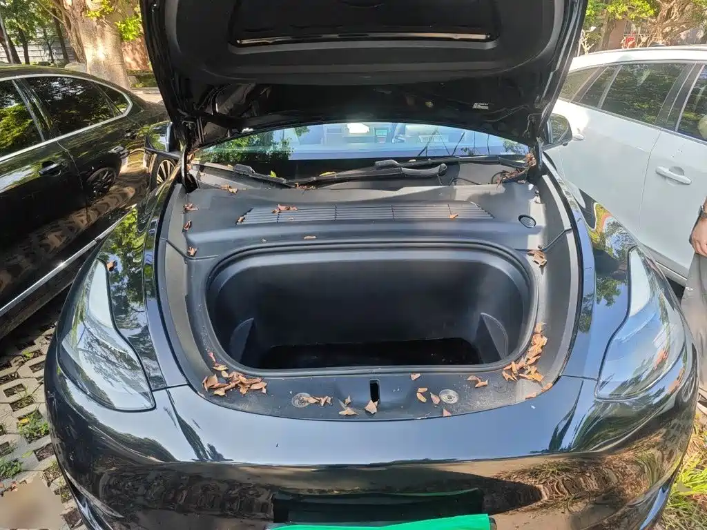 Tesla Model Y — фото 11