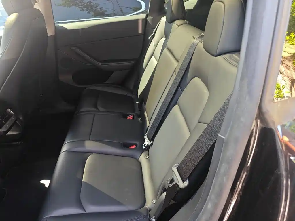 Tesla Model Y — фото 15