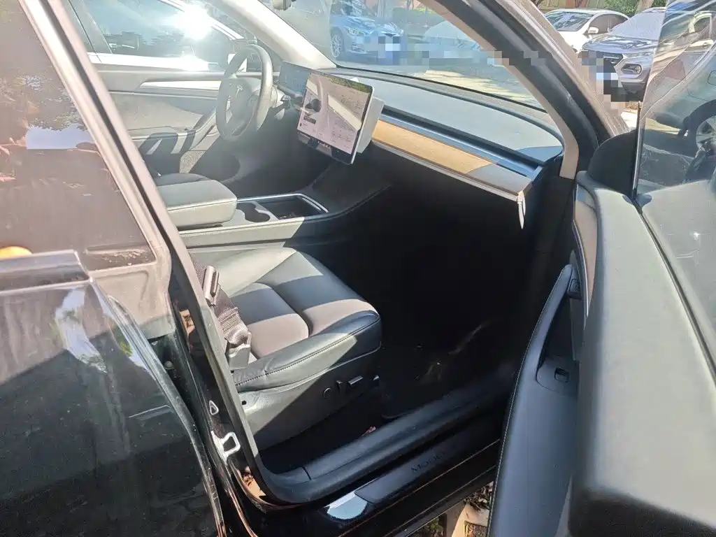 Tesla Model Y — фото 20