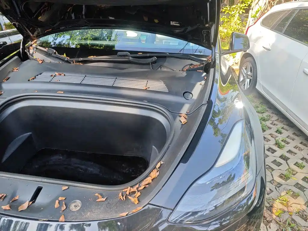 Tesla Model Y — фото 22