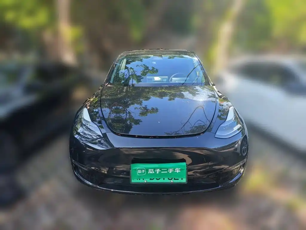 Tesla Model Y — фото 24