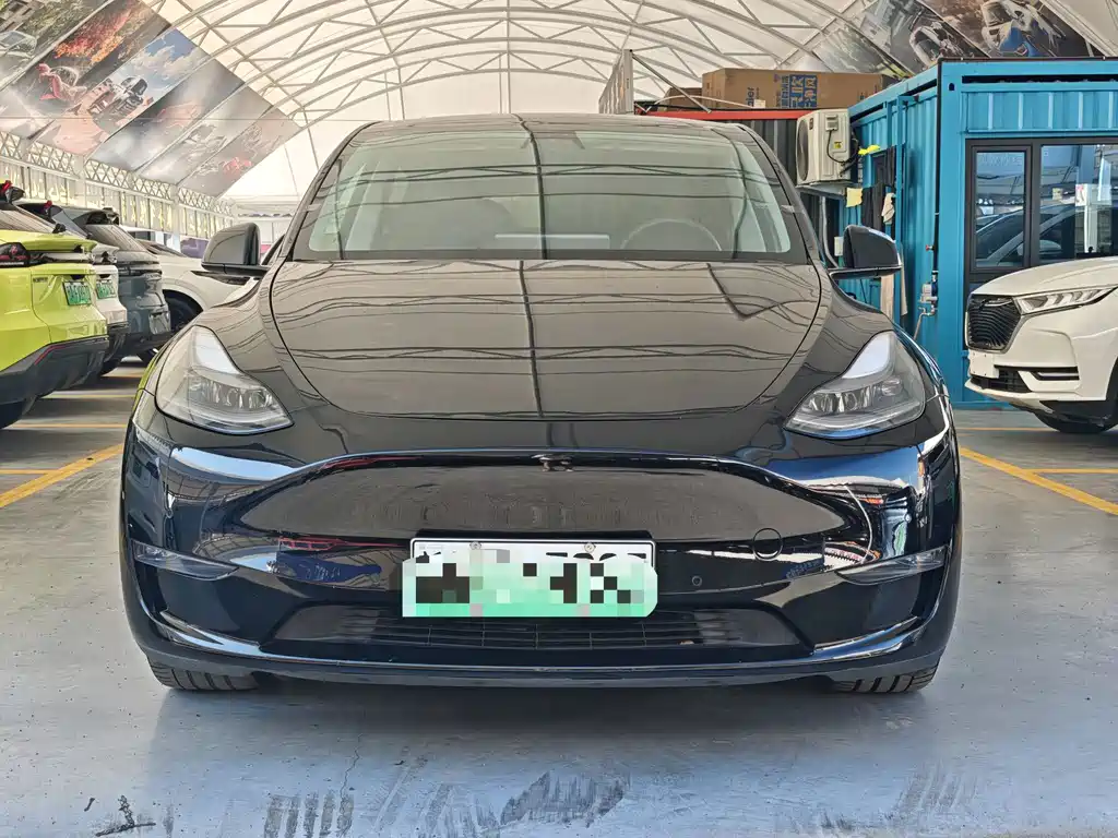 Tesla Model Y — фото 2