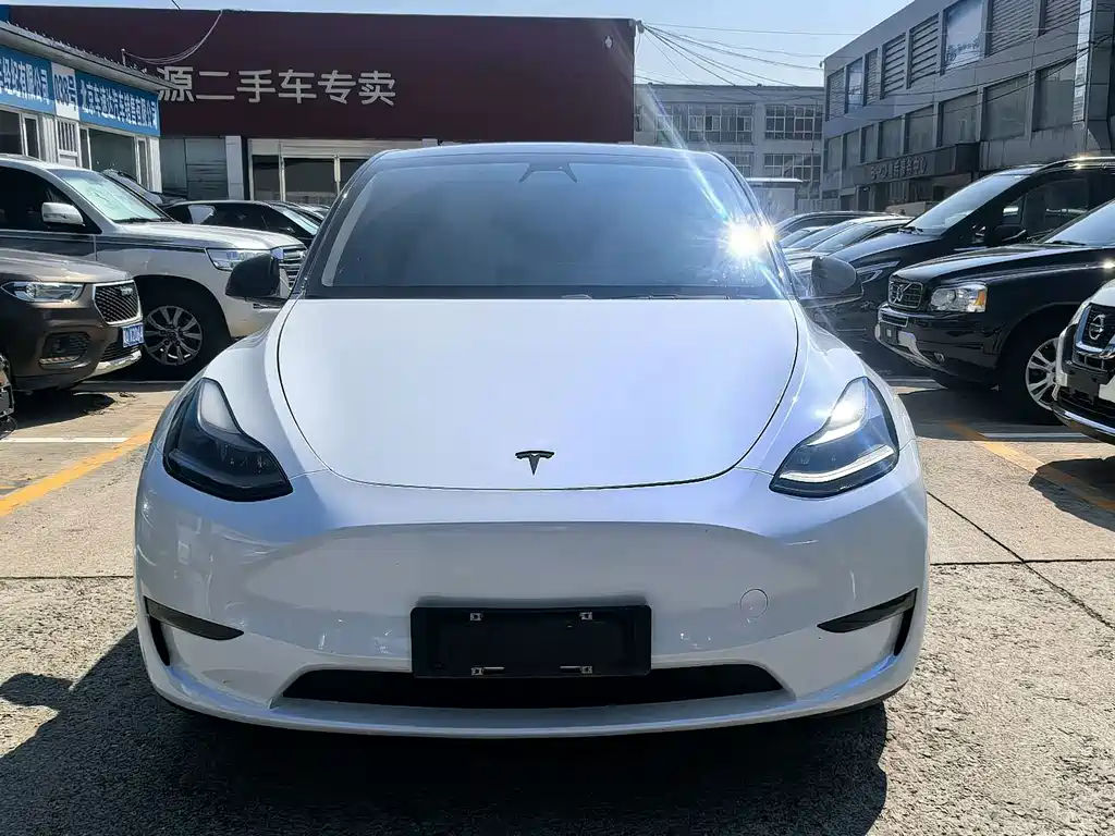 Tesla Model Y — фото 3