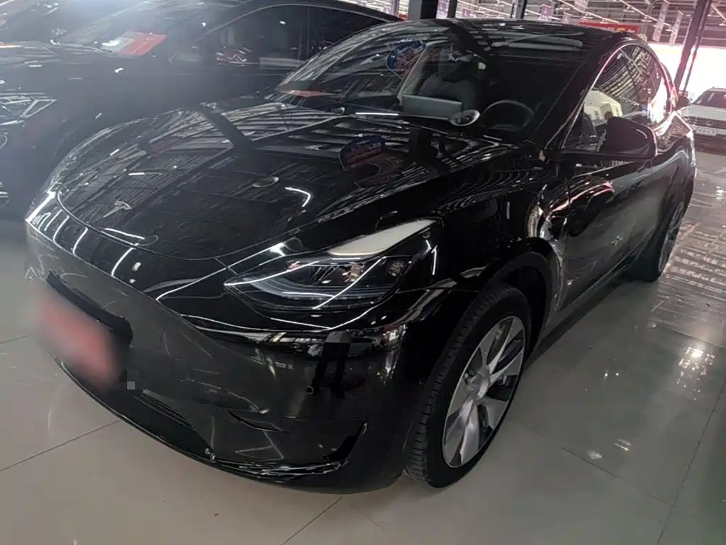 Tesla Model Y — фото 2