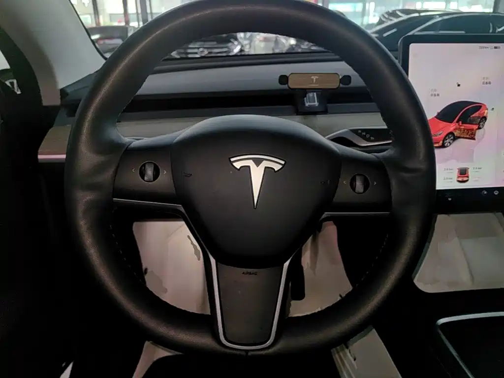 Tesla Model Y — фото 11