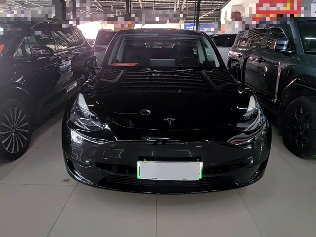 Tesla Model Y — фото 3