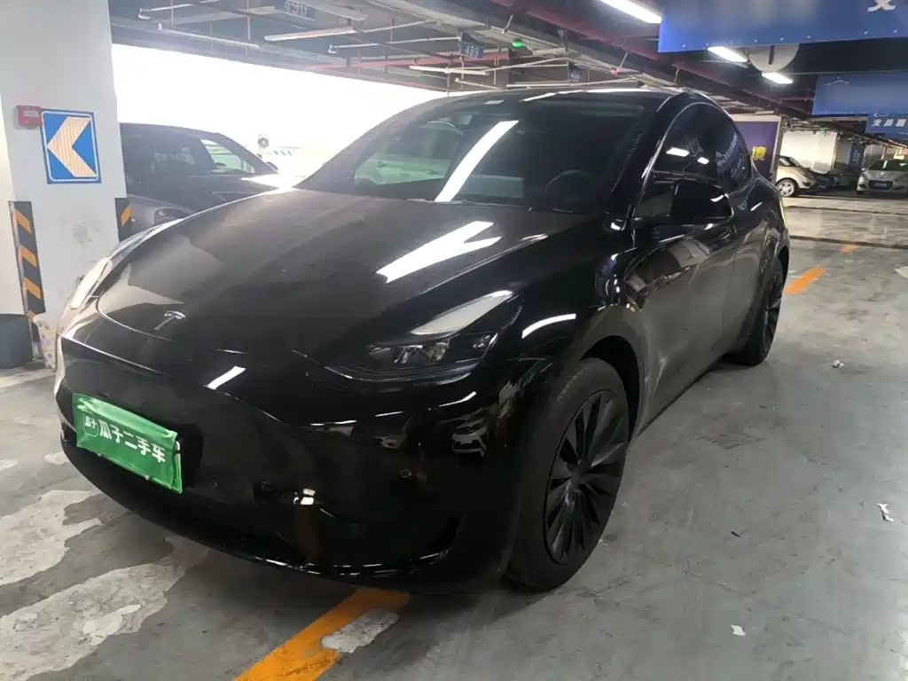 Tesla Model Y — фото 2