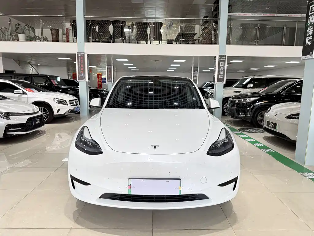 Tesla Model Y — фото 2