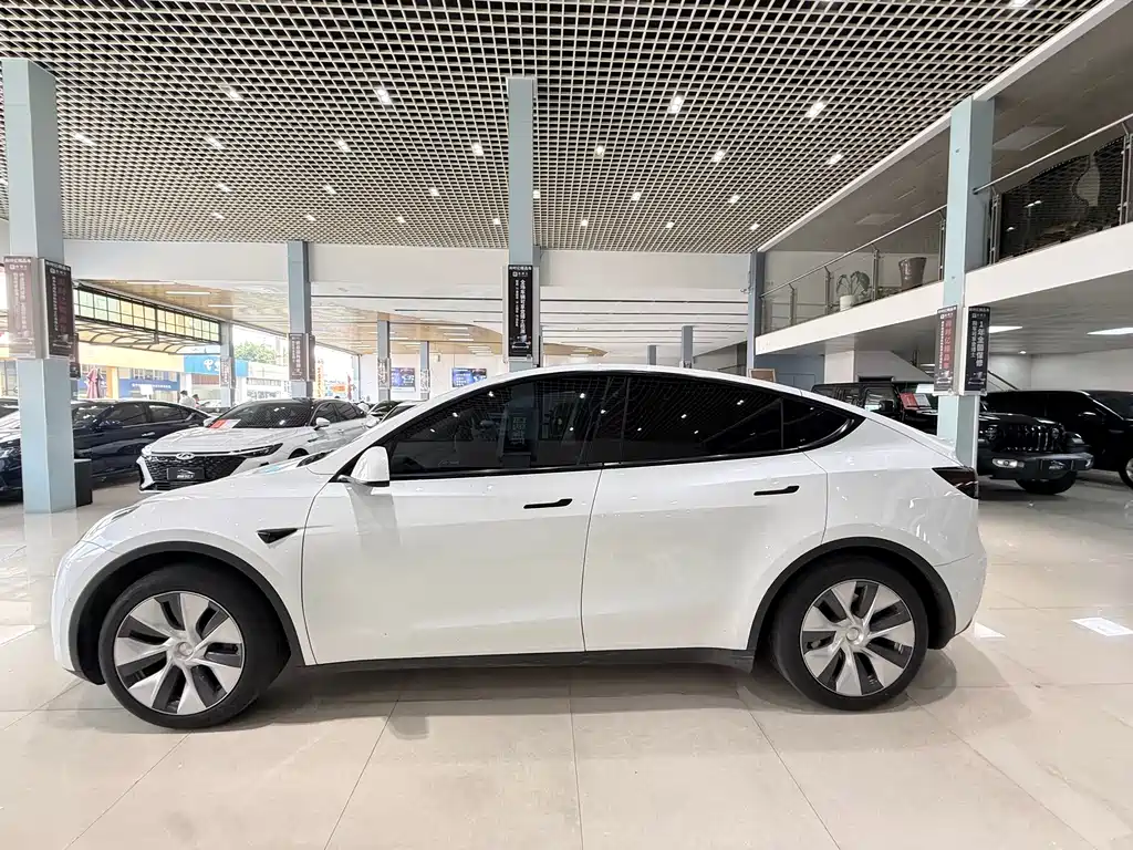 Tesla Model Y — фото 3