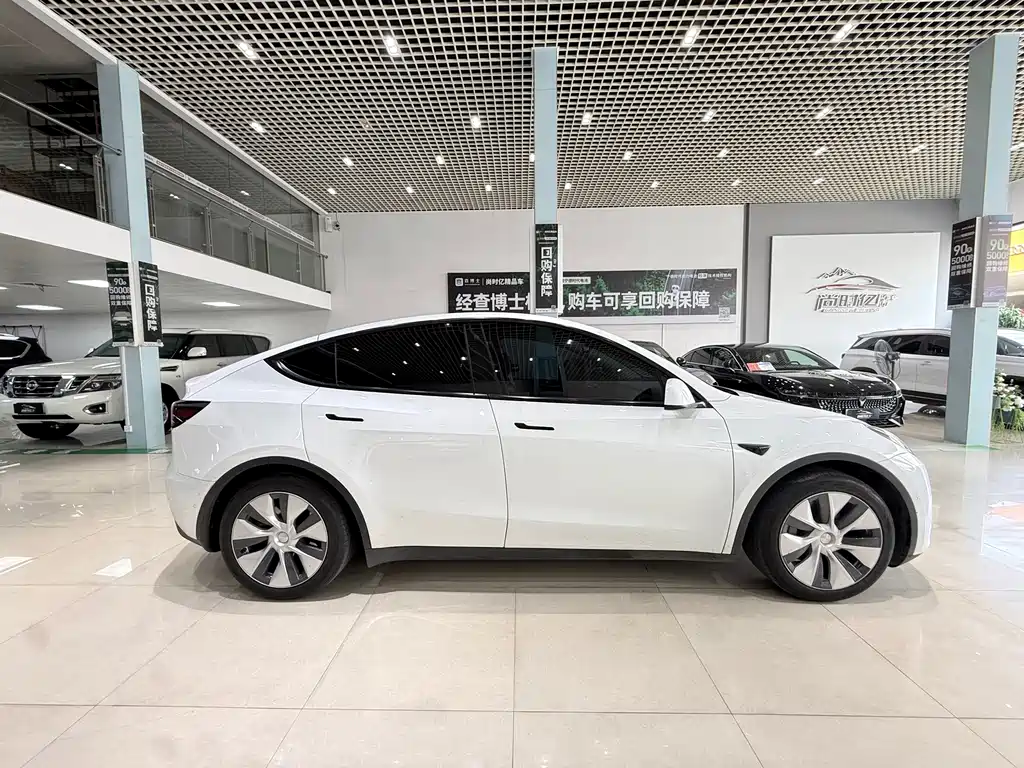 Tesla Model Y — фото 7
