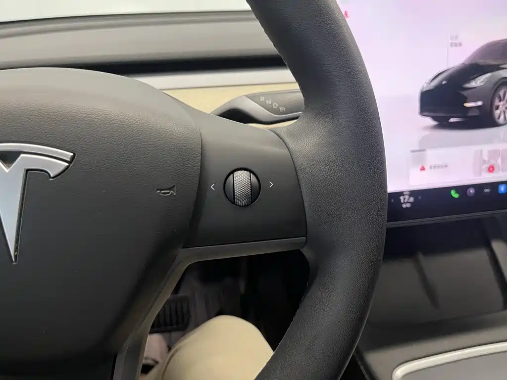 Tesla Model Y — фото 23