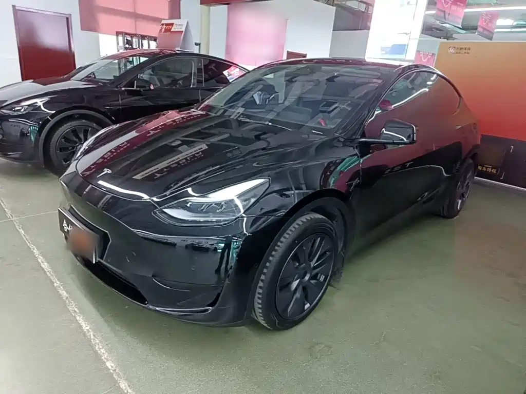 Tesla Model Y — фото 2