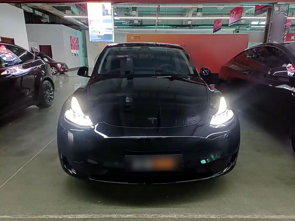 Tesla Model Y — фото 3