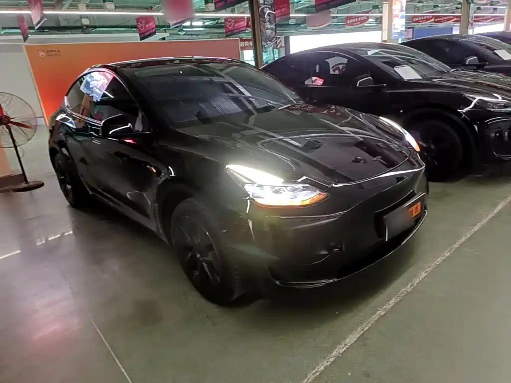 Tesla Model Y — фото 4