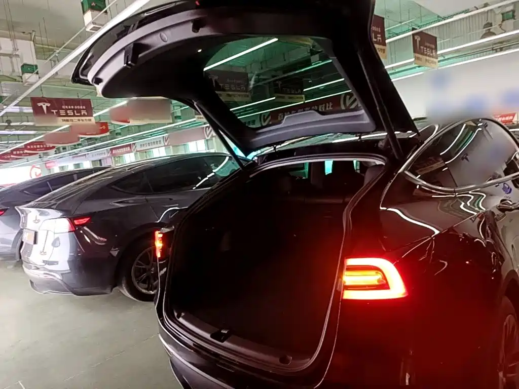 Tesla Model Y — фото 19