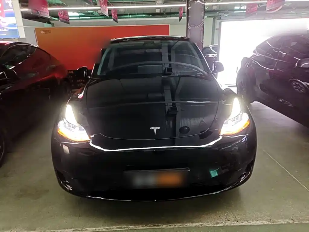 Tesla Model Y — фото 3