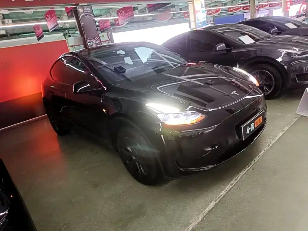 Tesla Model Y — фото 4