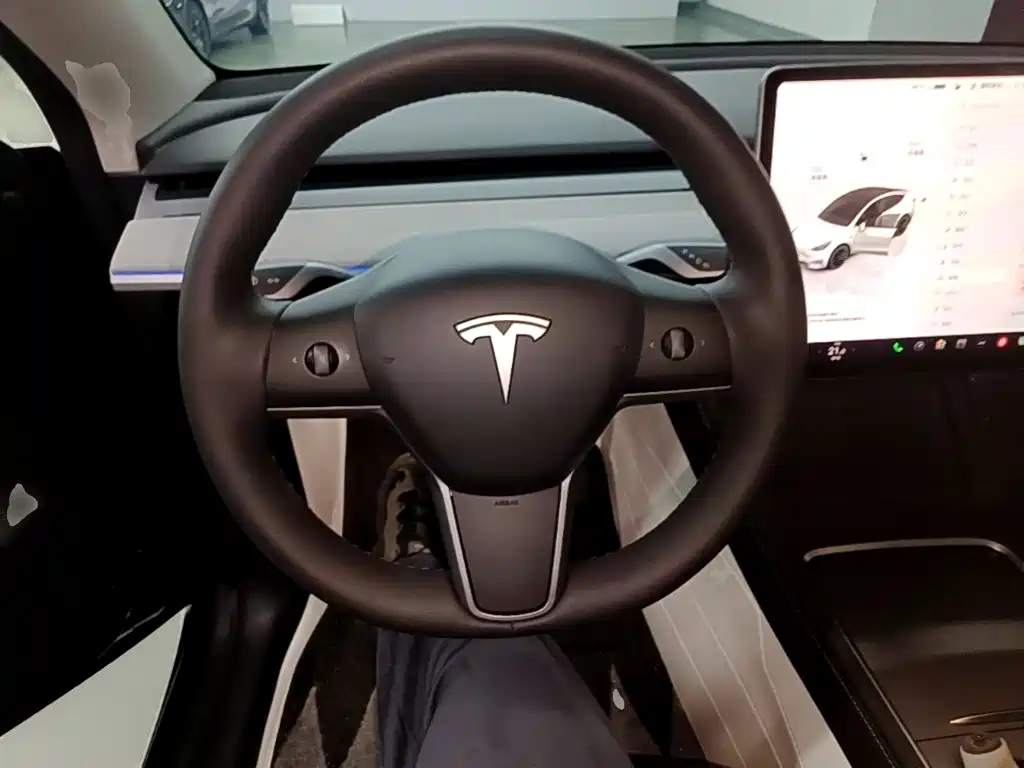 Tesla Model Y — фото 11
