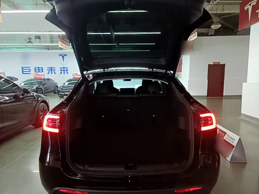 Tesla Model Y — фото 19