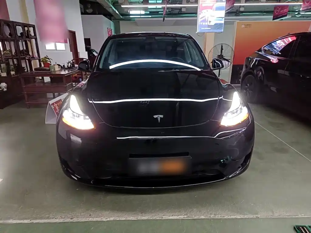 Tesla Model Y — фото 3