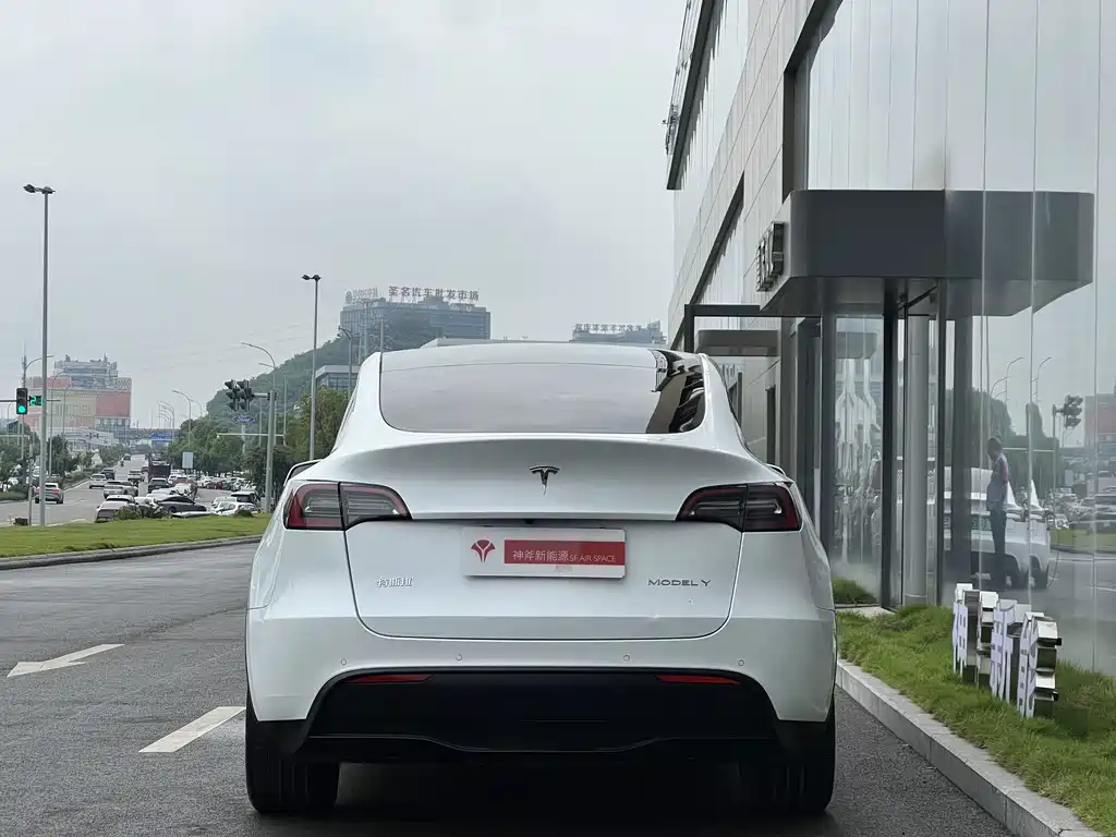 Tesla Model Y — фото 2
