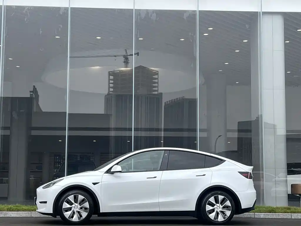 Tesla Model Y — фото 3