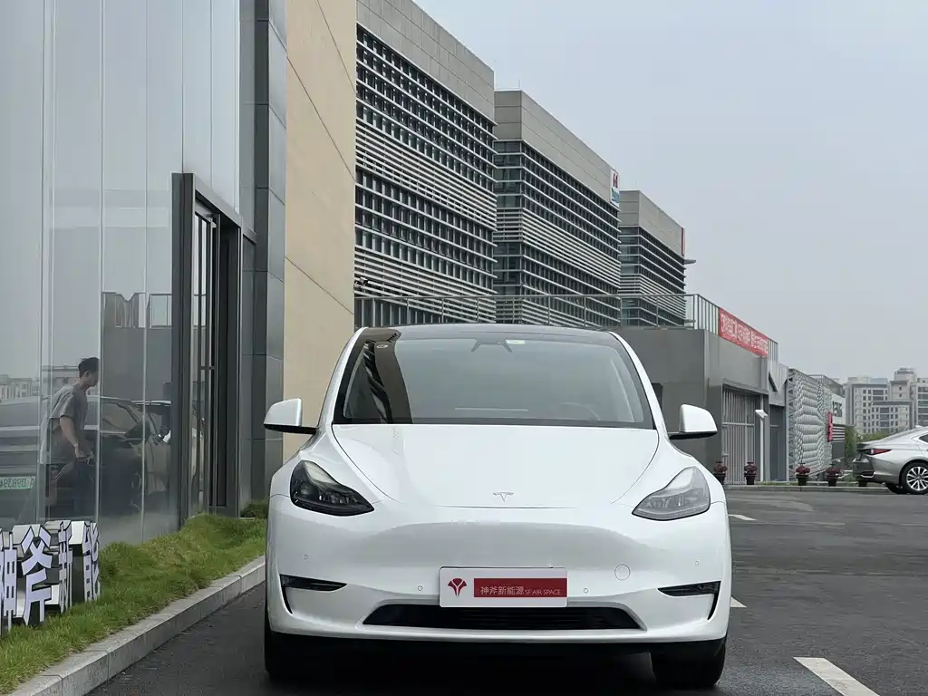 Tesla Model Y — фото 5