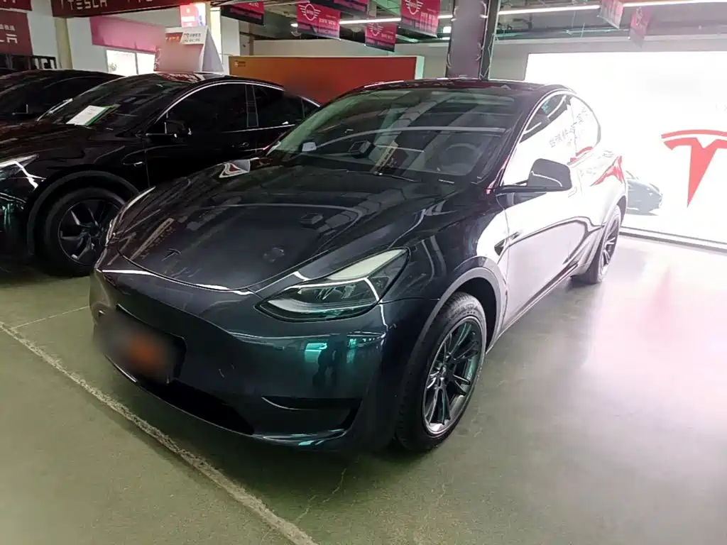Tesla Model Y — фото 2