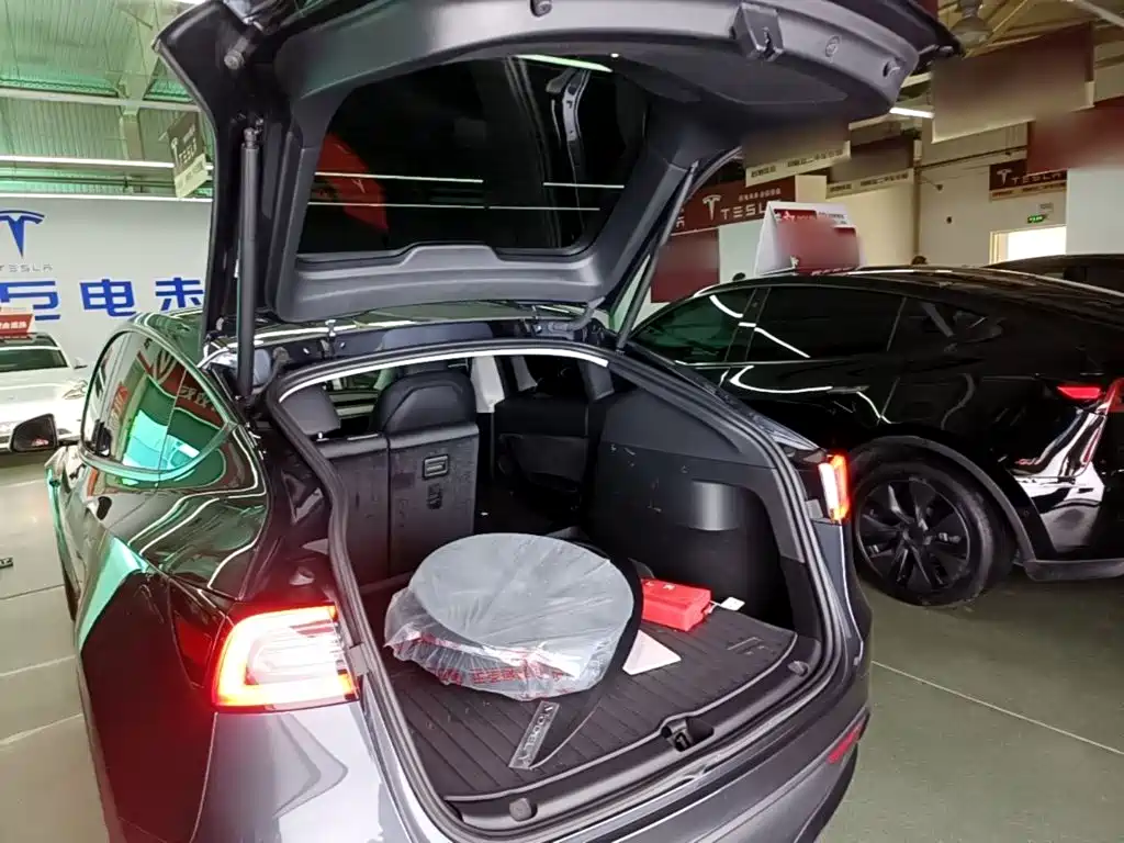 Tesla Model Y — фото 19