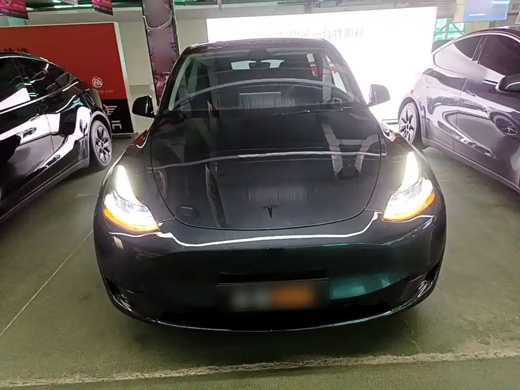 Tesla Model Y — фото 3