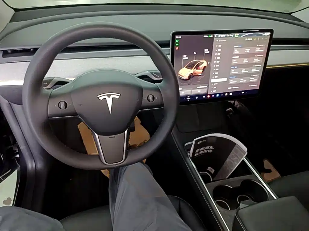 Tesla Model Y — фото 10