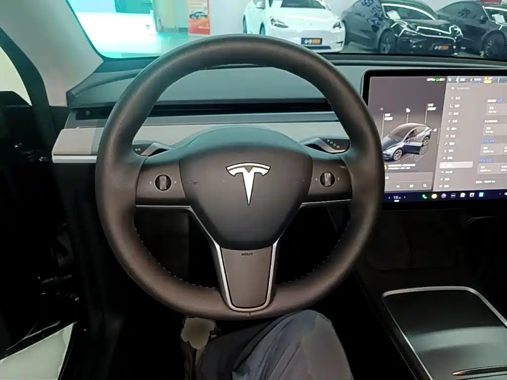 Tesla Model Y — фото 11