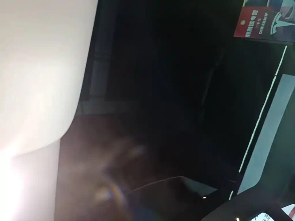 Tesla Model Y — фото 18