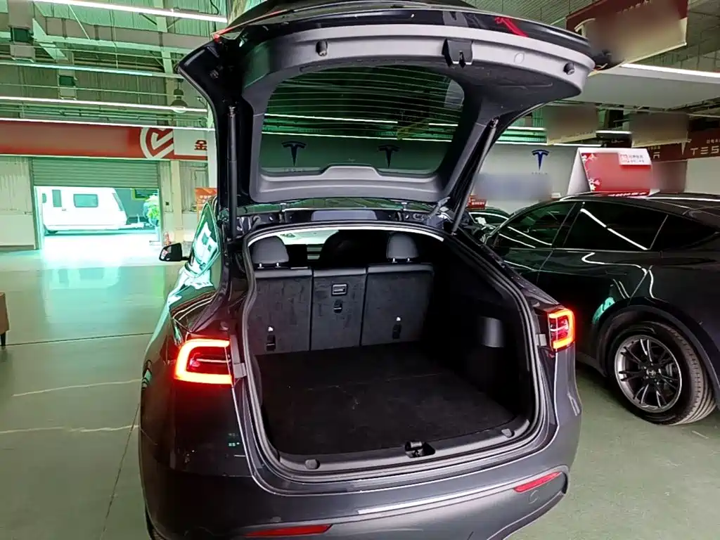 Tesla Model Y — фото 19