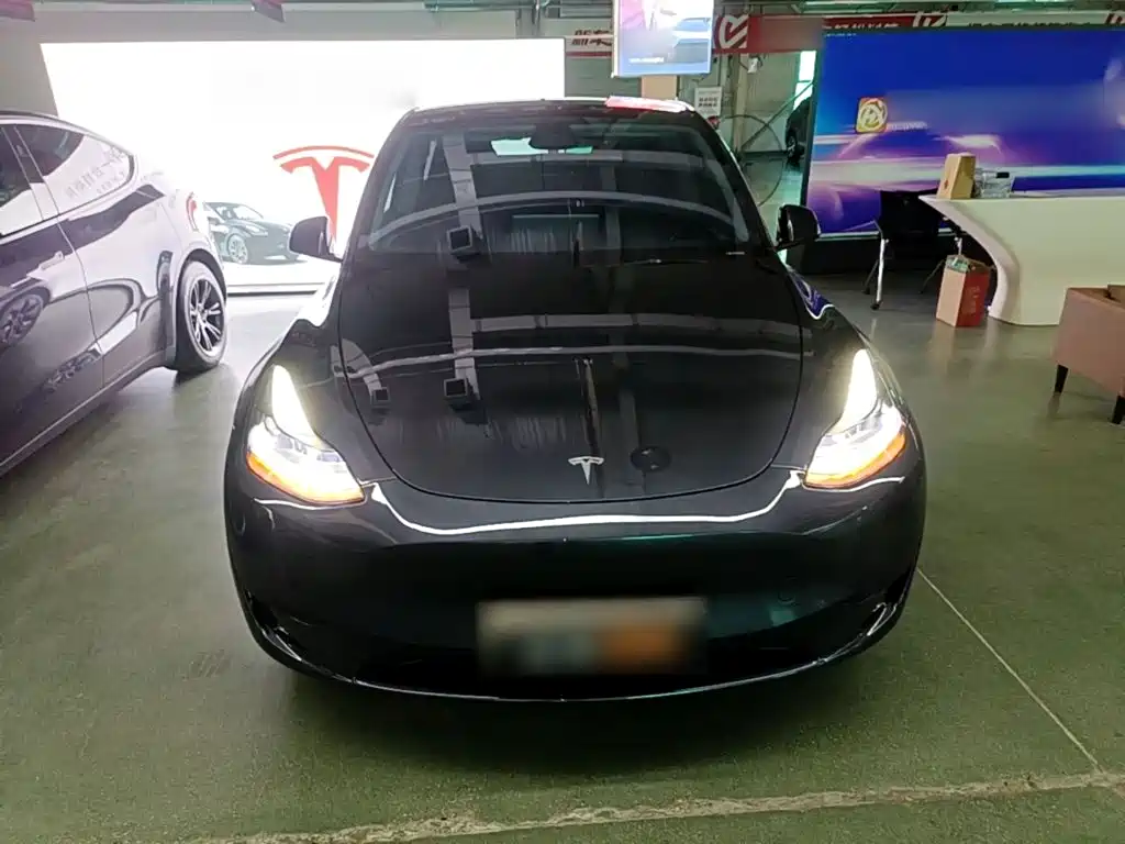 Tesla Model Y — фото 3