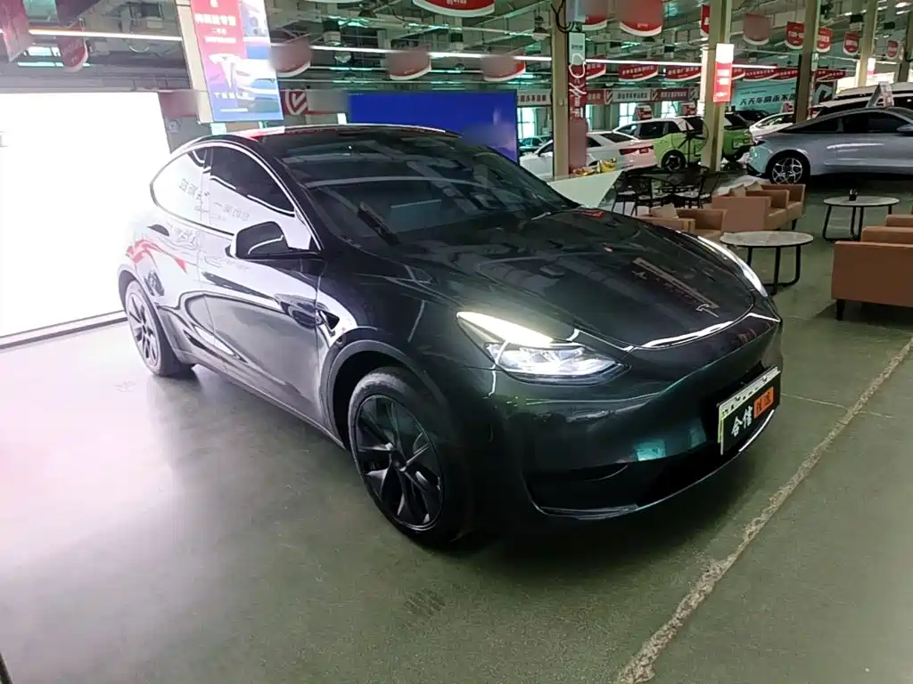 Tesla Model Y — фото 4