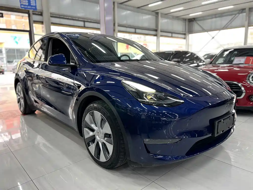 Tesla Model Y — фото 3