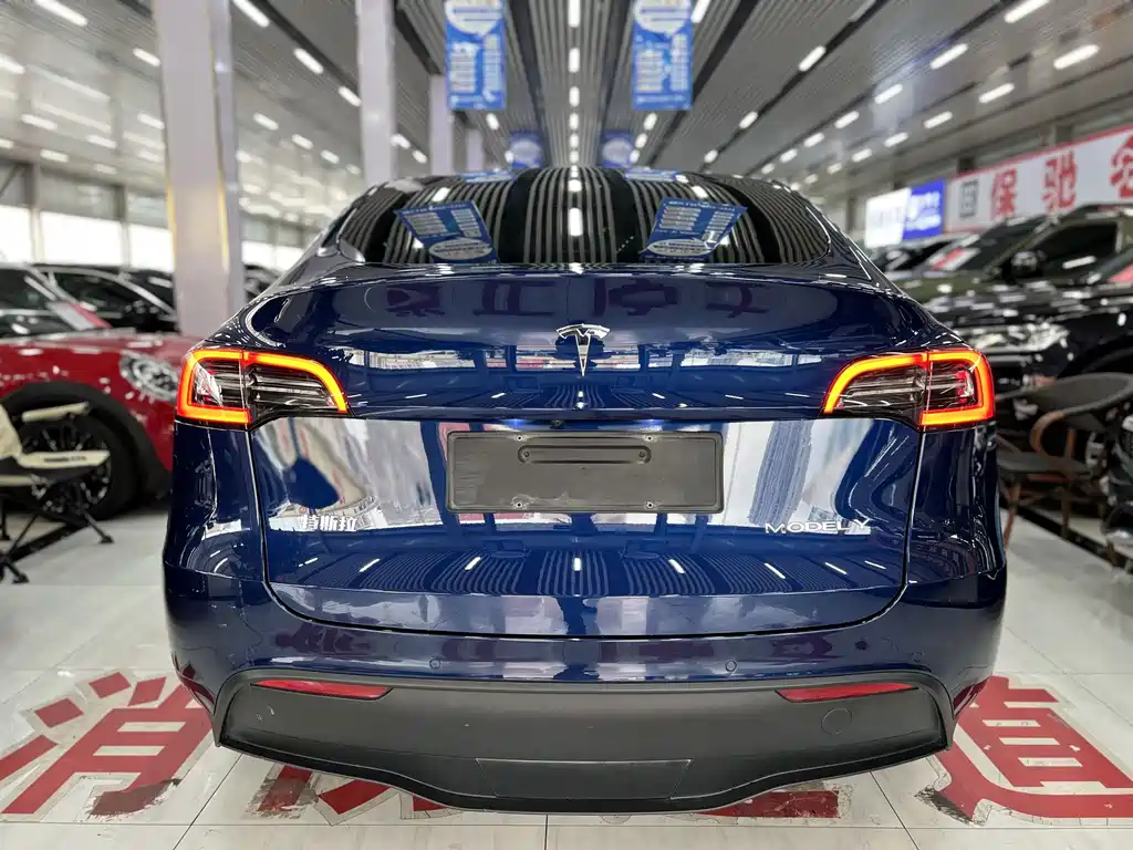 Tesla Model Y — фото 8