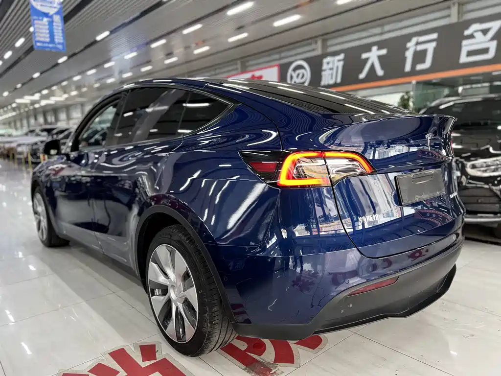 Tesla Model Y — фото 9