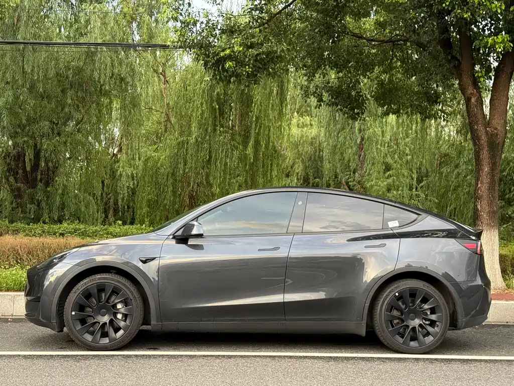 Tesla Model Y — фото 2